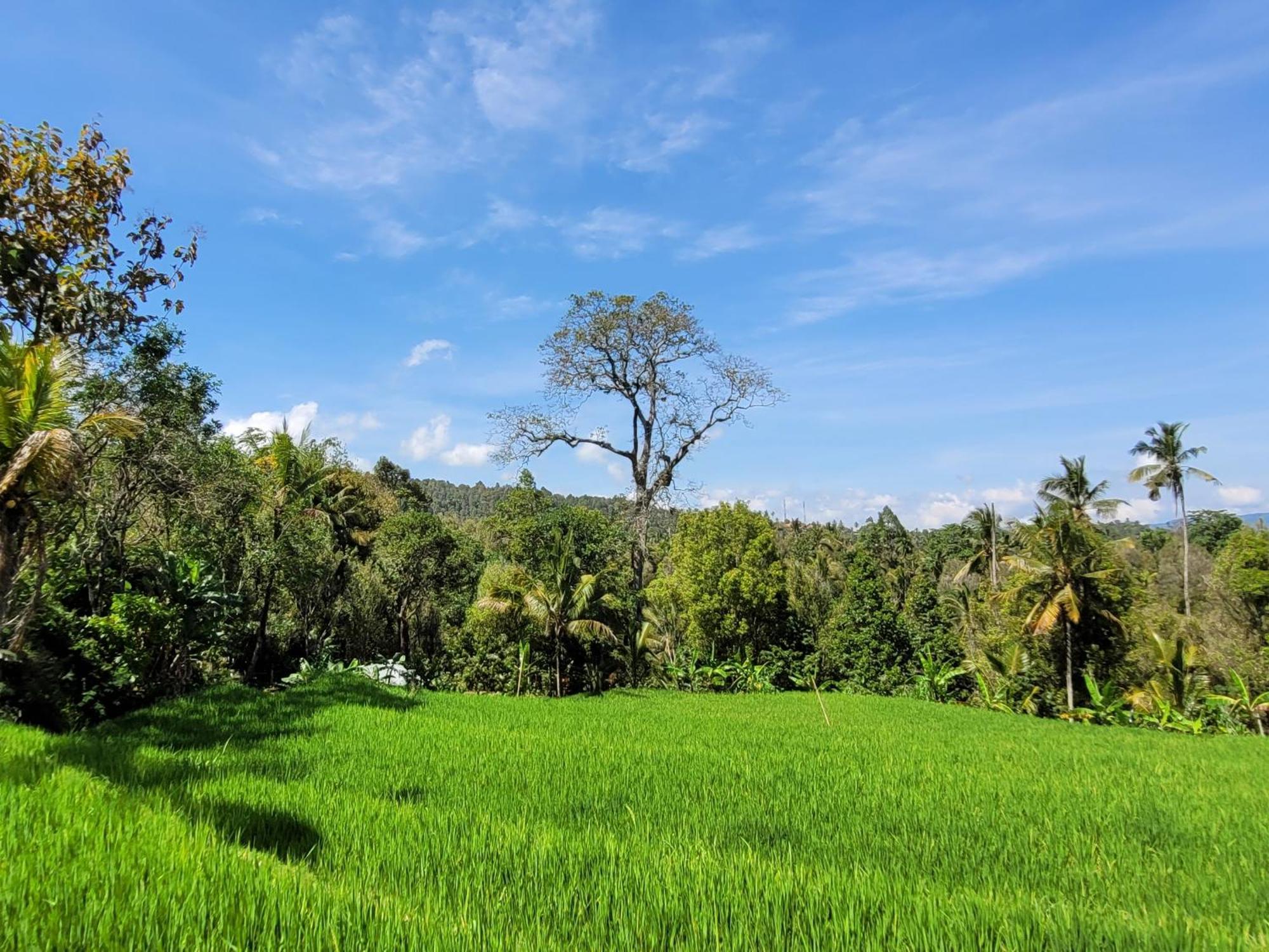 Umah Yugadi Bali Apartamento Munduk Exterior foto