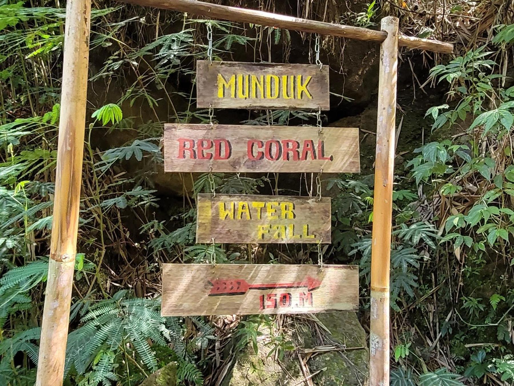 Umah Yugadi Bali Apartamento Munduk Exterior foto