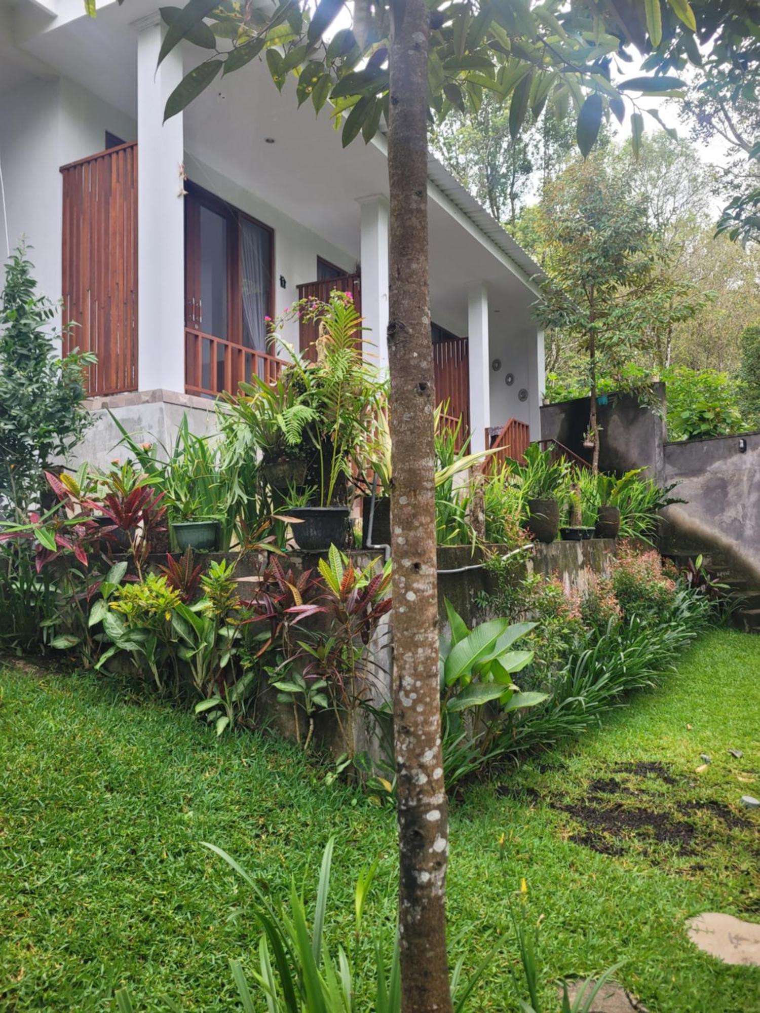 Umah Yugadi Bali Apartamento Munduk Exterior foto